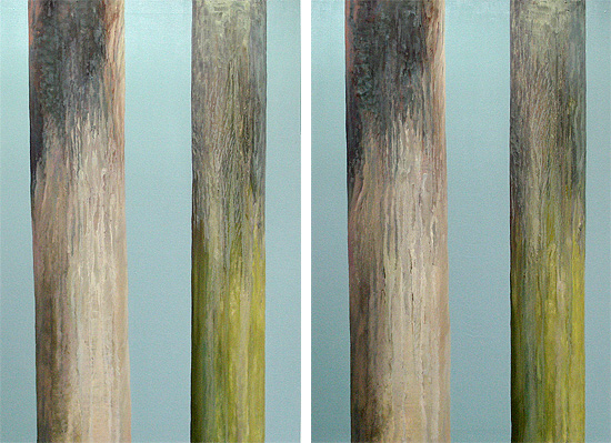Bilder 1+1 / B&auml;ume