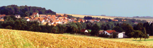 Blick auf Willingshausen